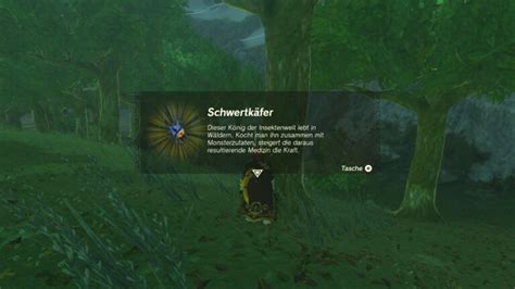 Schwertkäfer finden und fangen in Zelda Tears of the